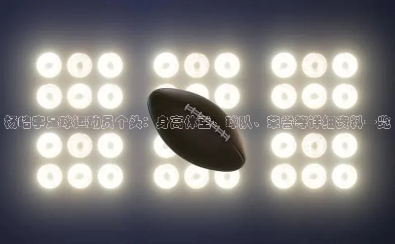 JN江南·体育网页版福石控股杨皓宇足球运动员个头：身高体重、球队、荣誉等详细资料一览