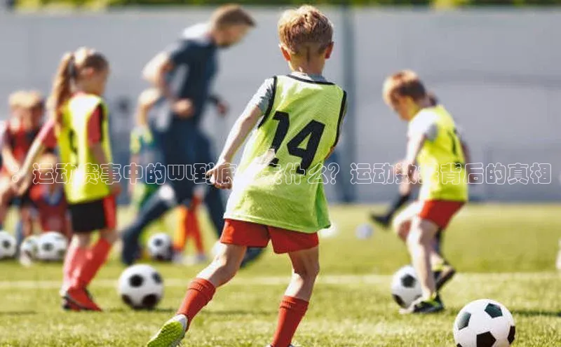 ：运动赛事中的WL到底代表什么？运动数据背后的真相