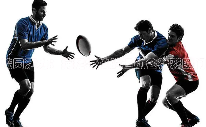 校园活力：捕捉学校的运动会精彩瞬间