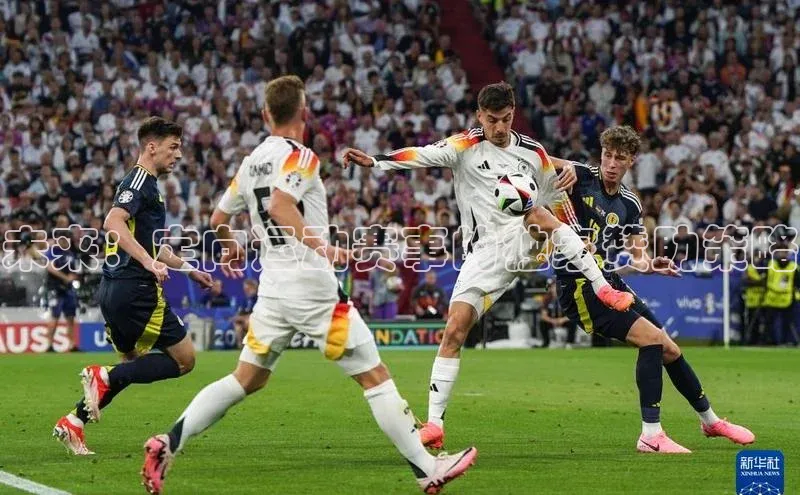 未来：定向运动赛事的独家赞助策略