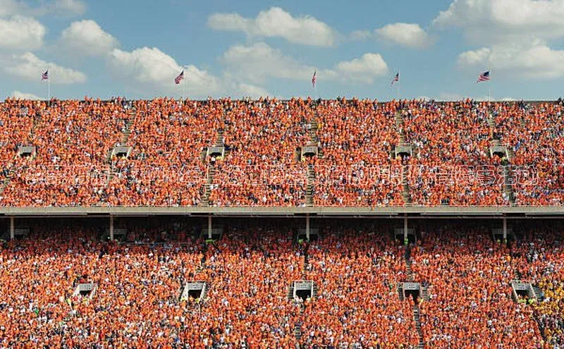 共聚激情：2010年上海世博会期间的精彩体育赛事活动