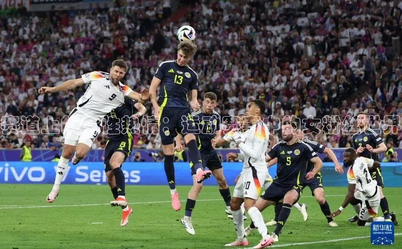 赛道上的女性热情：运动赛事中的女粉丝世界