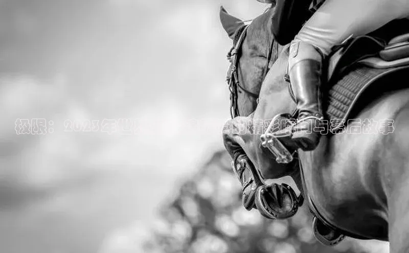 极限：2023年世界游泳锦标赛的精彩瞬间与幕后故事