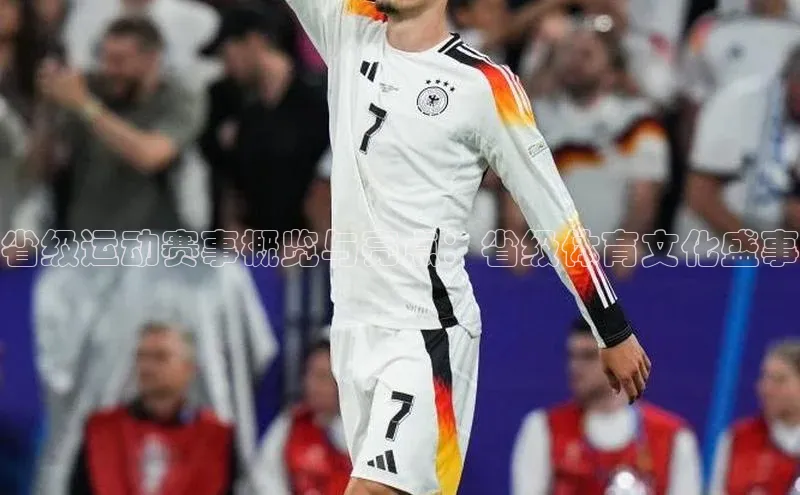 省级运动赛事概览与亮点：省级体育文化盛事