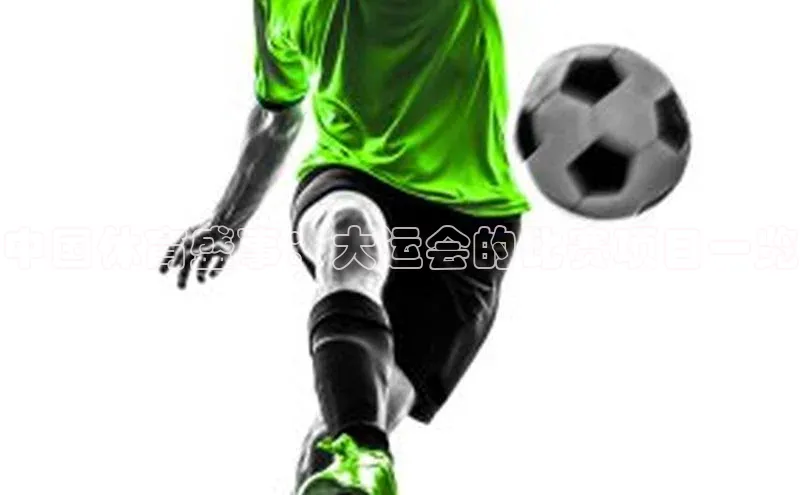 中国体育盛事：大运会的比赛项目一览