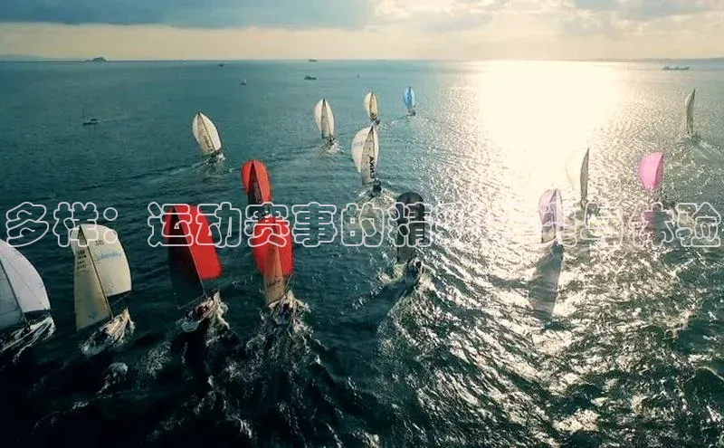 多样：运动赛事的精彩分类与体验