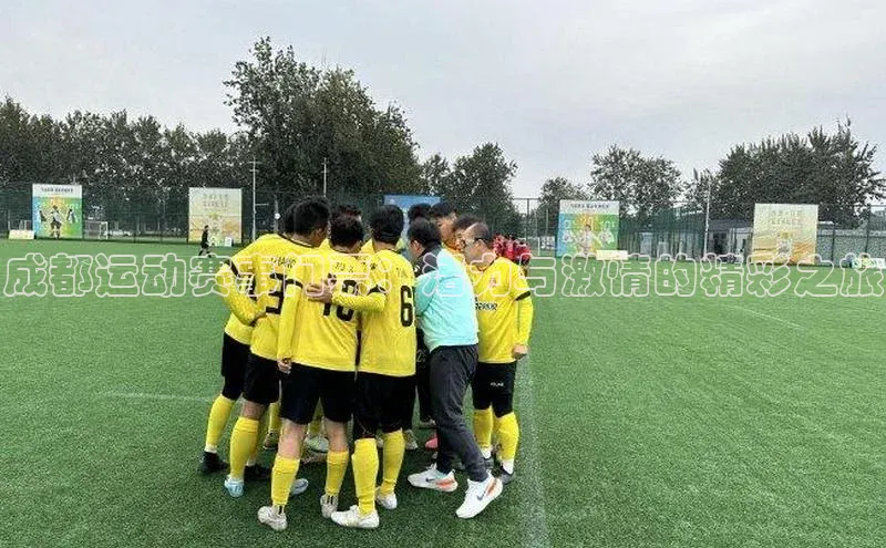 成都运动赛事门票：活力与激情的精彩之旅