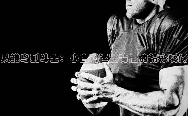 从雏鸟到斗士：小白鸡运动背后的精彩瞬间