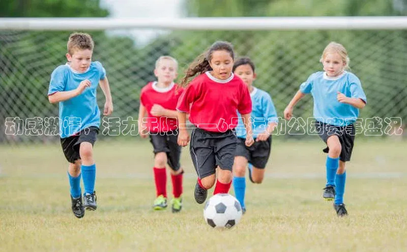 动感激情，活力无限——6号运动公园赛事盛况