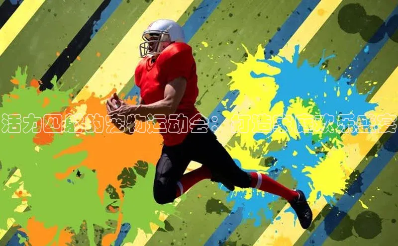 活力四射的宠物运动会：打造家庭欢乐盛宴