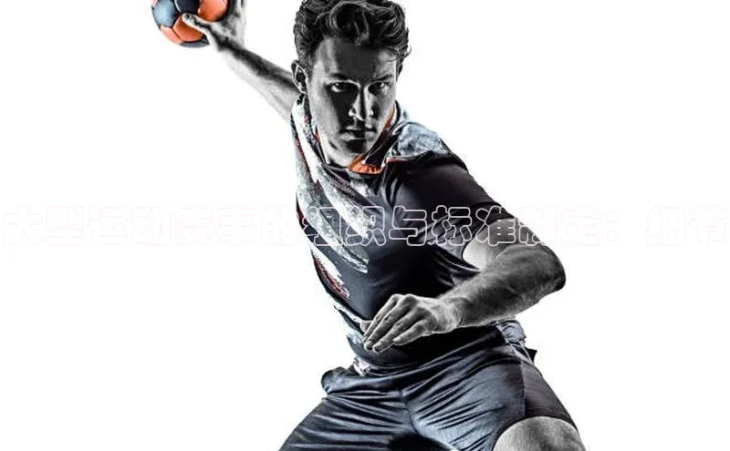 大型运动赛事的组织与标准制定：细节