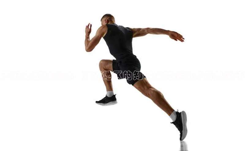 江南app体育下载官网最新版