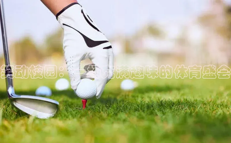 笑动校园：一场充满趣味的体育盛会