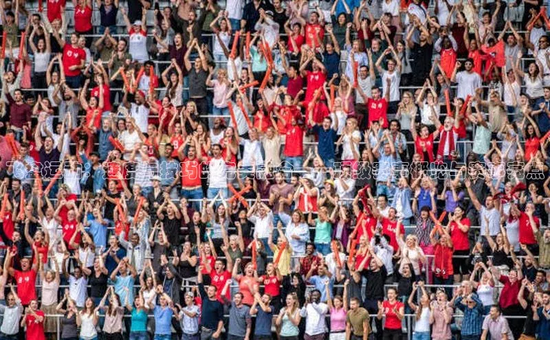 飞盘运动：速度与技巧的完美融合——顶级赛事概览与赛事亮点