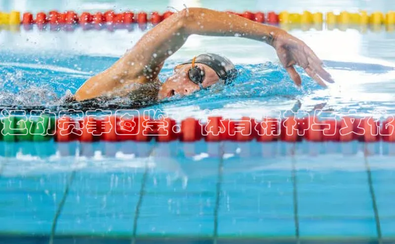 运动赛事图鉴：体育精神与文化