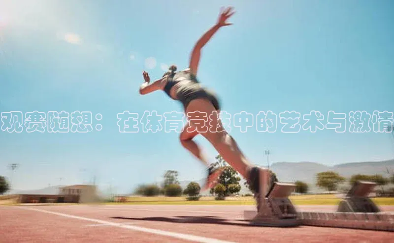 观赛随想：在体育竞技中的艺术与激情